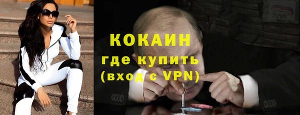 стаф Арсеньев