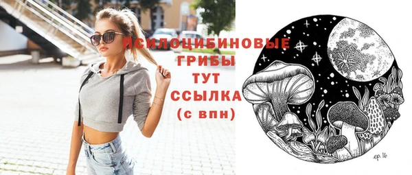 стаф Арсеньев