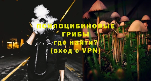 стаф Арсеньев