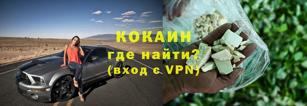 стаф Арсеньев