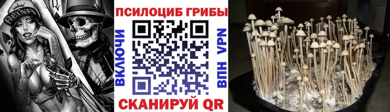 Галлюциногенные грибы GOLDEN TEACHER  Купить  Волчанск 